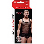 ,  M/L 
 -,   ,    .     ,      .  M/L.  .  95% , 5% .  ENVY, .