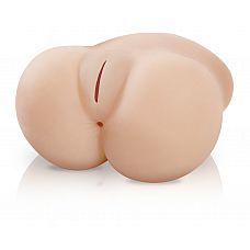  + Lil` Fuck Her 
      ,   –  !  –             ,  .