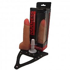     538303ru 
       ,     ,        .