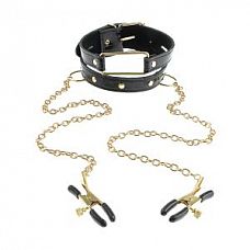 ׸        Gold Collar and Nipple Clamps 
׸         ,     .