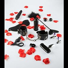      LOVETOY STARTER 
       10 ,  .