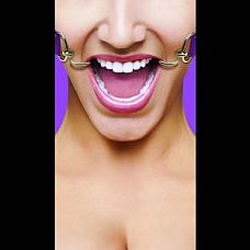    Hook Gag 
           .