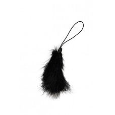 ������� � �������  SCANDAL BLACK FEATHER GWP 
