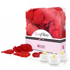   Lovers Premium Bed of Roses Red 
   –        .