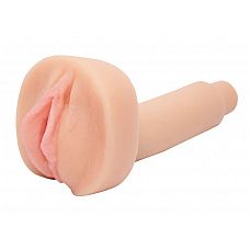 �����������-������ Calendar Girl Roxy Jezel  
����������� ������ Penthouse Toys Calendar Girl - March - Roxy Jezel �� ���������  Penthouse  -   ��������� ������� ������� .