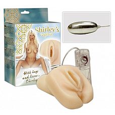    Shirley  
          - ,     13 .