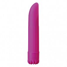    CLASSIC VIBE PURPLE SMALL - 14 . 
   ,   .