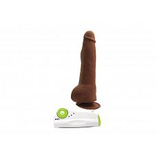 -  Average Joe The Doctor Marcus Vibrating - 17 . 
   ,   .