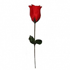     EIS101-RED 
 -    .      .   .