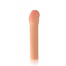     5 . 
     ,         .