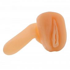 <strong>Телесный мастурбатор-вагина JELLY POCKET PAL VAGINA </strong> <br />
Телесный мастурбатор-вагина JELLY POCKET PAL VAGINA . Приятная на ощупь, не содержит фталатов.<div class="charTableblock"><div><span>Материал</span>: ПВХ (PVC)</div></div> Телесный мастурбатор-вагина JELLY POCKET PAL VAGINA  
Телесный мастурбатор-вагина JELLY POCKET PAL VAGINA . Приятная на ощупь, не содержит фталатов.