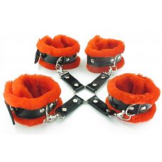     BDSM Light 760005ars 
