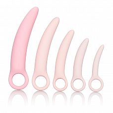   5    Sili Dilator 5 P 
       .