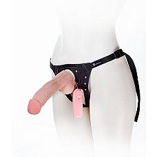      Harness, 20,5 .,  
 ,        -.