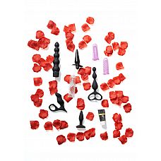      Anal Starter Kit  
            .
