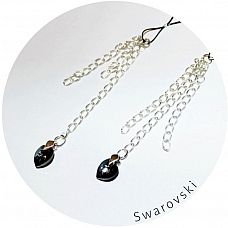      Swarovski 
   .