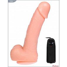        - 20 . 
   ,  ,  , , EROTICON SUPER STUD.