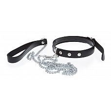 ׸    Collar and Leash 
׸    Collar and Leash.