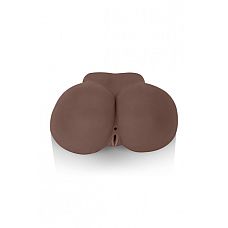 - Vivid Raw Baby Got Back  
 - Vivid Raw Baby Got Back - ,  .