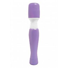  - Mini-Mini Wanachi - 13,3 . 
 ,       .