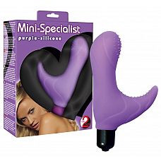  - Mini-Specialist 
 -   . 