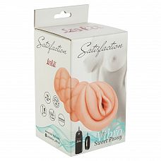 <strong>Мастурбатор-вагина Satisfaction Vibro Sweet Pussy с вибрацией</strong> <br />
Мастурбатор Vibro Sweet Pussy из реалистичного материала Neoskin легко растягивается до нужного размера.<div class="charTableblock"><div><span>Материал</span>: киберкожа</div></div> Мастурбатор-вагина Satisfaction Vibro Sweet Pussy с вибрацией 
Мастурбатор Vibro Sweet Pussy из реалистичного материала Neoskin легко растягивается до нужного размера.
