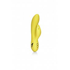  Venice Vixen 18   
          G.