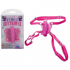     VENUS BUTTERFLY 0601-26 BX SE 
     -  .