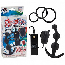    6  GYRATION PLEASURE KIT 1995-40 BX SE 
        ,   ,   ,    !       -,     10  ,      !      .