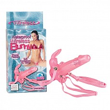 ������������ ���������� WIRELESS BUNNY 0574-04BXSE 
������������ ���������� � ���� �����, � ��������, �������� �����.