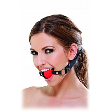  FF TWO TONE GAG 213600PD 
 -       .