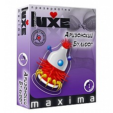  LUXE Maxima " " 
  ,   ,         .