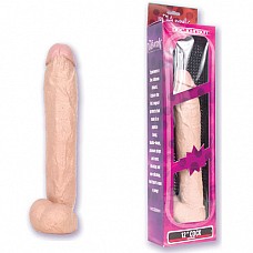 ������������� THE NATURALS 12in 5015-01 BX DJ 
������������� �� ����� THE NATURALS.