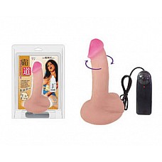      
 -   -   .
<br>     .