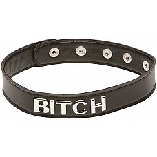  X-Play Bitch Collar 
X-Play Bitch Collar    BDSM    bitch.       .