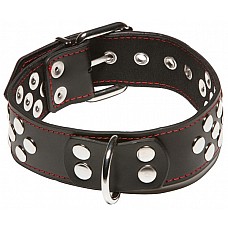   X-Play Collar With D-ring 
      ,    .