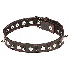    X-Play Spiked Collar 
 ,   .     .     . 