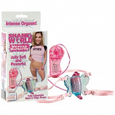    SHANE BUTTERFLY 0601-12 BX SE 
 -      .