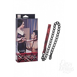     Scandal Leash  -