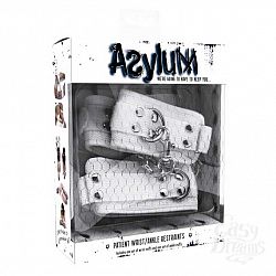   Asylum      