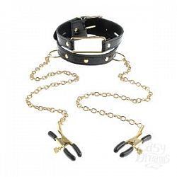  ׸        Gold Collar and Nipple Clamps