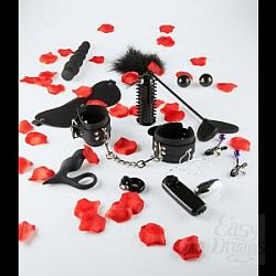       LOVETOY STARTER
