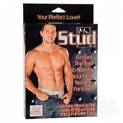    Mr. Stud