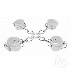     Hand And Legcuffs 