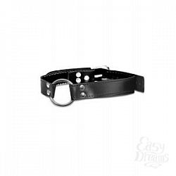  -  O-Ring Gag 