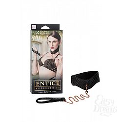       Entice Posture Collar with Leash   