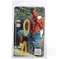     LASSO