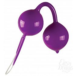     Geisha Purple 