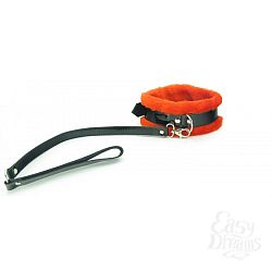      BDSM Light 730002ars