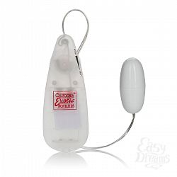      Pocket Exotics Vibrating Bullet